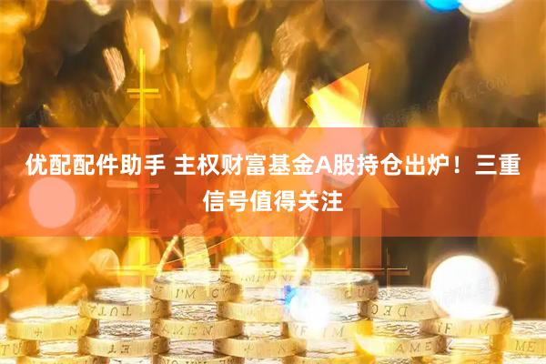 优配配件助手 主权财富基金A股持仓出炉！三重信号值得关注